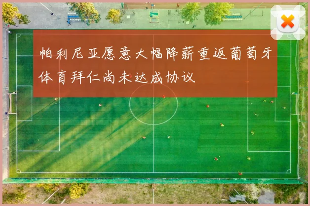 帕利尼亚愿意大幅降薪重返葡萄牙体育拜仁尚未达成协议